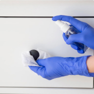 Varnishes impregnations and antiseptics